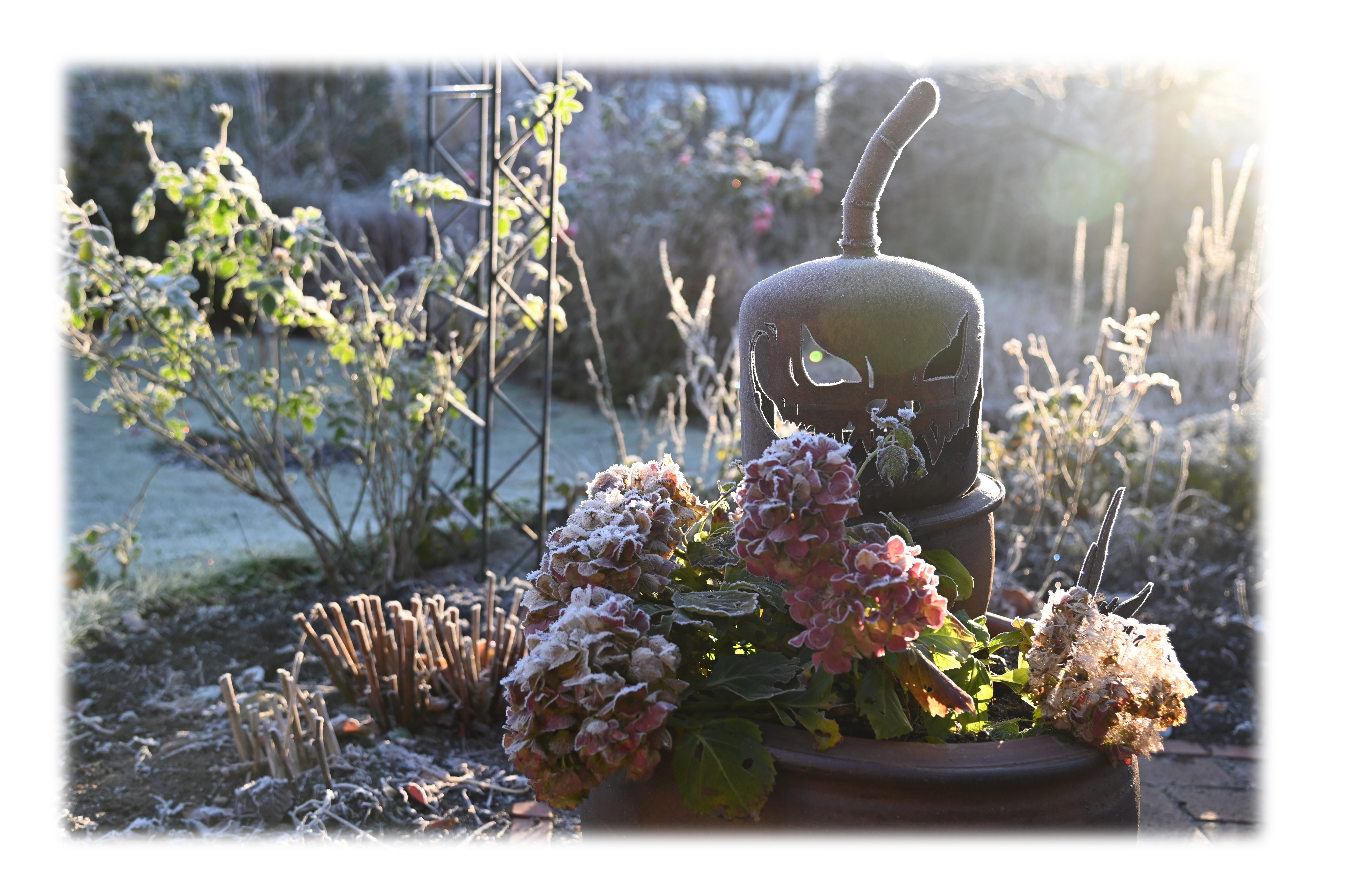 Appartements AM ROSENGARTEN